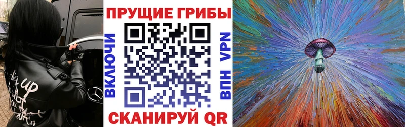 Псилоцибиновые грибы Psilocybine cubensis  Богданович 